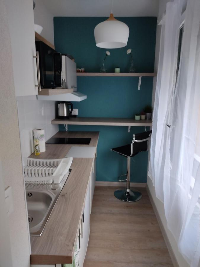Studio Cosy Proche Du Centre + Parking Gratuit Cluses Kültér fotó